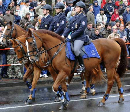 Police rangers take part in a military parade for the celebration of Czech's National Day in Prague, capital of the Czech Republic, on Oct. 28, 2008. [Xinhua]