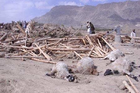 People search for survivors at the ruined houses in the worst-hit Ziarat area in southwestern Pakistan&apos;s Balochistan province, Oct. 29, 2008. At least 160 people died as an earthquake hit southwestern Pakistan&apos;s Balochistan province early Wednesday morning. 