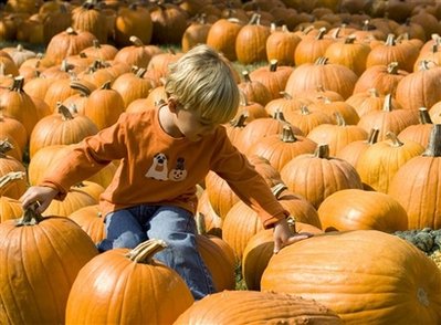 Brady Reed, 3, tries to pick a pumpkin at St. Luke's Methodist Church, benefiting Pure Sound Youth Choir Tuesday, October 21, 2008, in Houston. [Agencies]