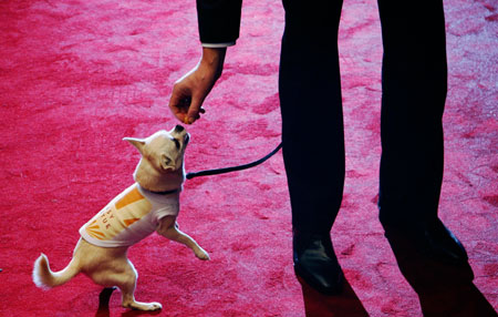 Fizz the Dog and Director Stephan Elliott arrive for the premiere of 'Easy Virtue' in Leicester Square, London October 28, 2008.