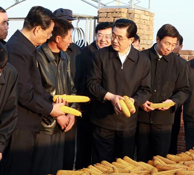 Chinese President Hu Jintao (2nd R, front), chats with local farmers about the corn output in Xiaojihan Village during his two-day visit to Yulin City of northwest China&apos;s Shaanxi Province on Oct. 29, 2008. [Xinhua]