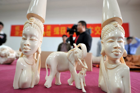 Photo taken on Nov. 5, 2008 shows part of smuggled ivory sculptures seized by the customs of Hangzhou, capital of east China's Zhejiang Province. A total of 306 pieces of smuggled articles seized by Hangzhou customs were transferred to Zhejiang Museum of Natural History on Wednesday. The precious articles will be shown to the public in the museum after some protecting treatments. [Xinhua] 