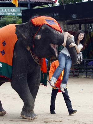 A tourist plays with an elephant at a park in Thailand, Nov. 8, 2008. Thai tourism is expected to lose 1.5-2.1 billion U.S. dollars if the country's polictical crisis lasts till the end of the year, according to a Thailand-based research center. Tourism earned for Thailand 23.5 billion dollars in 2007.(Xinhua Photo/Liu Lianfen)