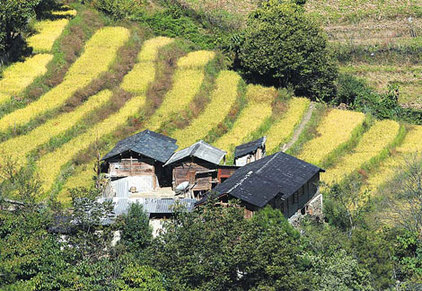 Traditional stilted houses are scattered around Bingzhongluo.