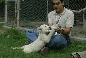 A zoo in Mexico has come up with a down to earth way to educate children about the environment.