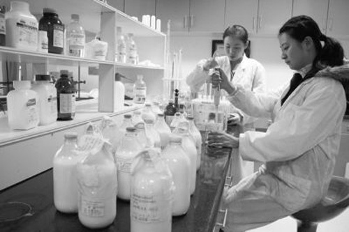 Workers of the Gansu provincial quality control department test and determine liquid milk on October 8, 2008. The latest tests have found that Chinese liquid milk met the new temporary restrictions on melamine, the country top quality control agency said on November 11, 2008. [Lanzhou Daily photo]