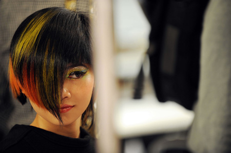 A model displays the new hairstyle by Hong Kong hairstylist during the 13th Cosmoprof Asia at the Hong Kong Convention and Exhibition Center in Hong Kong, south China, Nov. 12, 2008.