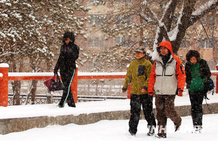 Heavy snow hit Aletai, northwest China's Xinjiang Uygur Autonomous Region on November 13, 2008.