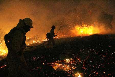 Firefighters work to put out a fire burning alongside a road near Carbon Canyon park in Brea, California November 16, 2008. Several major fires still raged across Southern California on Sunday as firefighters were working against time to contain the devastating blazes.