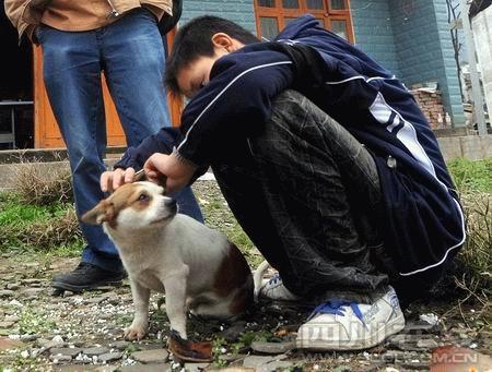 The couple's son Bowa, who is in Grade One of Beichuan Middle School, now has to cope with the death of his parents. 