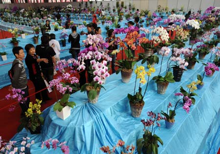 People visit the 10th Cross-Straits flower exhibition in Zhangzhou, southeast China's Fujian Province, Nov. 18, 2008. The 10th Cross-Straits Flower Exhibition and the 2008 Taiwan Farm Produce Exhibition were held here on Tuesday. 