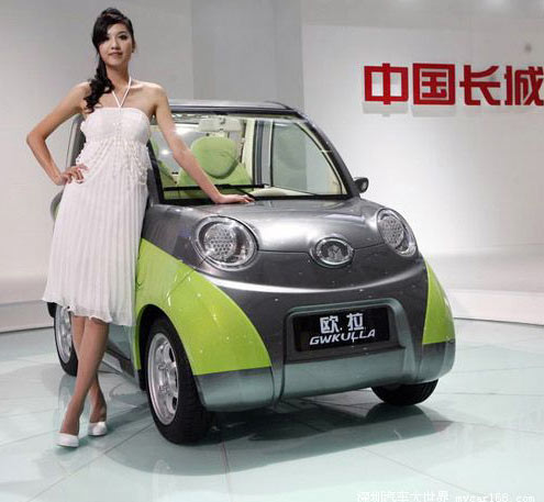 A model stands next to a car at the 6th Guangzhou International Automobile Exhibition in Guangzhou, South China's Guangdong Province, November 18, 2008.