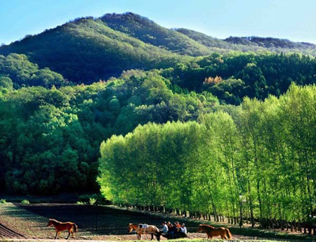 The undated picture showst the Greater Xing'an Mountains in northeast China. The country has grown and preserved a total of 24.46 million hectares of forest since 1978. That's when the government initiated its largest green project.