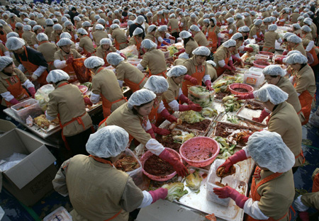 Employees of Korea Yakult make the traditional side dish 'kimchi', or fermented cabbage, during a donation drive in front of Seoul city hall November 20, 2008. About 5,000 of the company's employees participated in the event on Thursday, held in six cities including Seoul, Busan and Incheon, to make kimchi from 120,000 cabbages to donate to the needy during the winter season. 