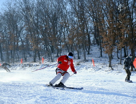 A man skis at a park in Lotus Hill of Changchun, capital of northeast China's Jilin Province November 23, 2008. [Xinhua]