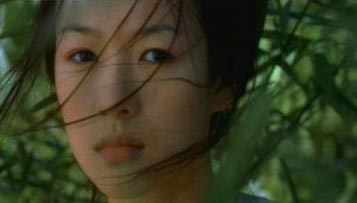 Zhang Ziyi in movie 'Crouching Tiger, Hidden Dragon'