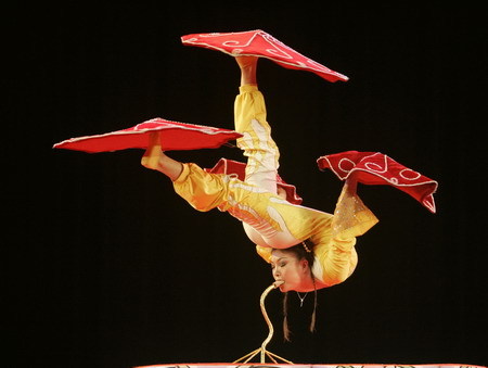 A Chinese acrobat performs during an India-China cultural exchange programme in the eastern Indian city of Kolkata November 24, 2008. The programme was organised by the Indian council for cultural relations and embassy of the People's Republic of China to strengthen the cultural bonds between the two countries. [Agencies]