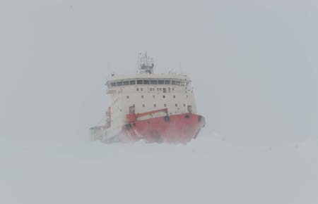 China's ice breaker Xuelong or 'Snow Dragon' is blocked by thick ice around the Antarctica during her 25th expedition to Antarctica, on Nov. 24, 2008. 