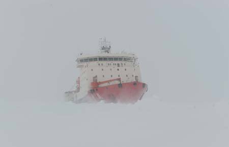 China's ice breaker Xuelong or 'Snow Dragon' is blocked by thick ice around the Antarctica during her 25th expedition to Antarctica, on Nov. 24, 2008. [Liu Yizhan/Xinhua]
