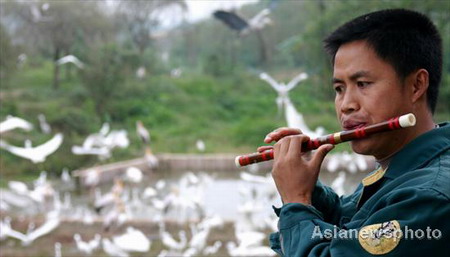 Animal keeper Lv Rubin blows a flute as he prepares to feed the birds in Chongqing Wildlife Park, southwest China's Chongqing municipality November 26, 2008. Lv has added the music into his everyday feeding task for over 1,000 birds in the park since September. 