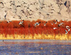 Migratory birds find haven at Lhasa River wetland