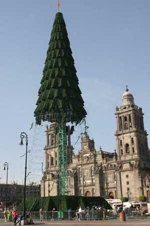 Workers build a 45-meter-high Christmas tree in Mexico city, capital of Mexico Nov. 24, 2008.[Xinhua Photo]