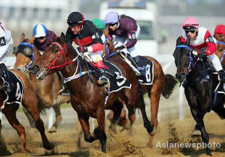 Horses gallop toward the finish line at the China Speed Horse Race Open in Wuhan November 29, 2008. Horse racing is back on the Chinese mainland after almost 60 years. [Asianewsphoto]