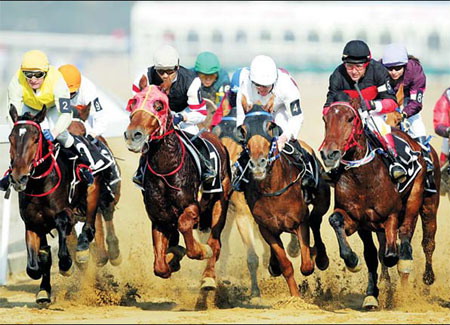 Horses gallop toward the finish line at the China Speed Horse Race Open in Wuhan November 29, 2008. Horse racing is back on the Chinese mainland after almost 60 years. [Asianewsphoto]