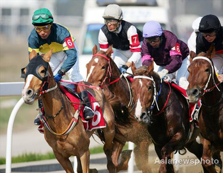 Horses gallop toward the finish line at the China Speed Horse Race Open in Wuhan November 29, 2008. Horse racing is back on the Chinese mainland after almost 60 years. [Asianewsphoto]