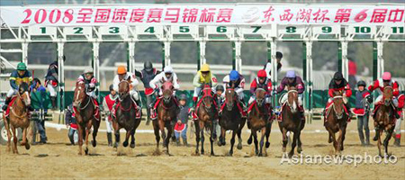 Horses gallop toward the finish line at the China Speed Horse Race Open in Wuhan November 29, 2008. Horse racing is back on the Chinese mainland after almost 60 years. [Asianewsphoto]