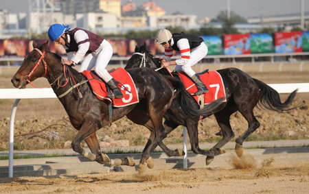 Horses gallop toward the finish line at the China Speed Horse Race Open in Wuhan November 29, 2008. Horse racing is back on the Chinese mainland after almost 60 years. [Asianewsphoto]