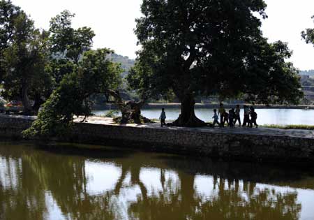 Students walk past the 400-year litchi tree at Dalu Village, Lingshan County, southwest China's Guangxi Zhuang Autonomous Region, Nov. 14, 2008. Dalu Village is formed with nine ancient architecture groups dating back to the Ming (1368-1644) and Qing (1644-1911) dynasties. The architecture groups occupying 450,000 square meters are well preserved and protected.[Xinhua]