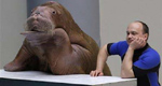 Sara the walrus