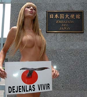 A naked Argentinian model holds a placard saying 'Let them live' to protest against whale hunting and smugglling of animals fur skin at the Japanese embassy in Chile, Dec. 1, 2008. The protestor also required the Argentinian government to set whale protection zone in its territorial waters. [chinanews.com.cn]