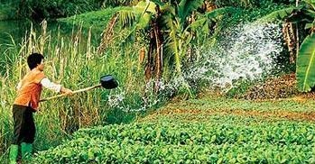 Dozens of villagers from Hunan province have been compensated for damage caused to their vegetable fields after a chemical leak. 