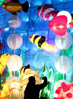 A woman takes photos of the colorful lanterns on a street in Nanjing, capital of east China's Jiangsu Province, Dec. 3, 2008.[Wang Xin/Xinhua]