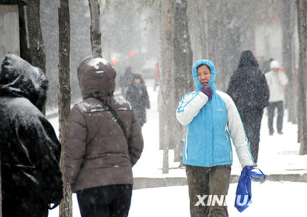 Heavy snow hit Harbin, northeast China's Heilongjiang Province, on December 3, 2008.