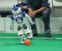 Robots competition concludes in Guangdong 