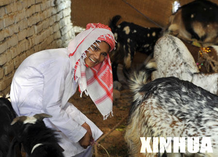 A young boy codes the goat before slaughtering in New Delhi Dec. 9, 2008, on which Eid el-Adha, one of the most important religious festivals of Muslim falls in the country. There are around 150 million Muslims in India,accounting to nearly 15% of the national population. [Wang Ye/Xinhua]