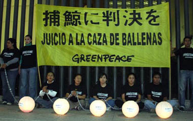 Members of Green Peace protest in front of Japanese Embassy to Mexico against whale hunting in Mexico City, Mexico, on Dec. 8, 2008.[Xinhua]