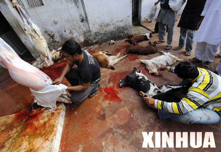 Muslims slaughter lamb in a mosque of New Delhi Dec. 9, 2008, on which Eid el-Adha, one of the most important religious festivals of Muslim falls in the country. There are around 150 million Muslims in India,accounting to nearly 15% of the national population.[Wang Ye/Xinhua] 