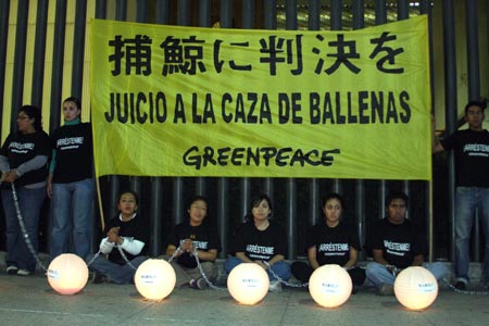 Members of Green Peace protest in front of Japanese Embassy to Mexico against whale hunting in Mexico City, Mexico, on Dec. 8, 2008. [Xinhua]