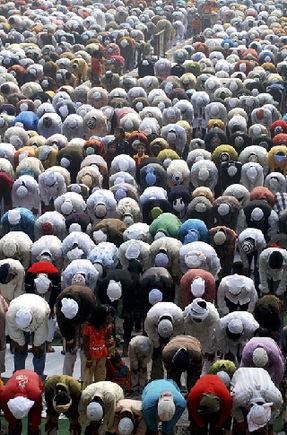 Muslims offer Eid al-Adha prayers in the northern Indian city of Mathura December 9, 2008. Muslims around the world celebrate Eid al-Adha by the sacrificial killing of sheep, goats, cows and camels to commemorate Prophet Abraham's willingness to sacrifice his son, Ismail on God's command. [Agencies] 