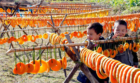 Two boys stroll through the fields with pole and rack for airing and basking the dried pumpkin cookie, at Fuchun Township, Wuyuan County, east China's Jiangxi Province, Dec. 9, 2008. Local farmers tend airing and basking the pumpkin at its harvest season into a kind of wrought delicatessen in loop shape, popular among local people and visitors. (Xinhua