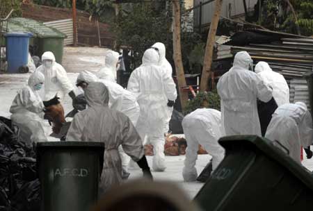 Staff members of the Food and Health Bureau of the Hong Kong Special Administrative Region (HKSAR) government dispose of the slaughtered chickens in Hong Kong, south China, on Dec. 9, 2008. Dead chicken found at a Hong Kong farm have tested positive for the H5 strain of the avian influenza virus, which were the first confirmed bird flu cases on a local farm in about six years, health authority said on December 9, 2008. [Xinhua]