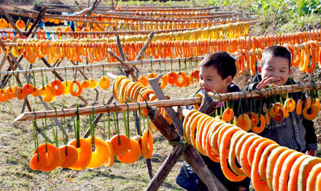 Two boys stroll through the fields with pole and rack for airing and basking the dried pumpkin cookie, at Fuchun Township, Wuyuan County, east China's Jiangxi Province, Dec. 9, 2008. Local farmers tend airing and basking the pumpkin at its harvest season into a kind of wrought delicatessen in loop shape, popular among local people and visitors. (Xinhua