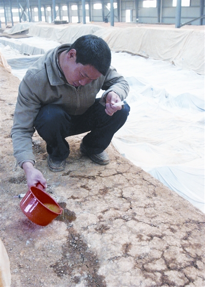An archaeologist is seen doing treatment to the tomb site.