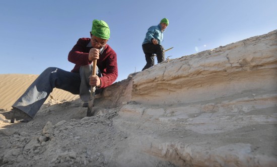 Qin Xiaoguang (L) and Lu Houyuan of the Institute of Geology and Geophysics collect rocks in the west of Lop Nur. [Xinhua]