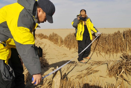 Scientists measure the remains of an ancient dwelling. [Xinhua]