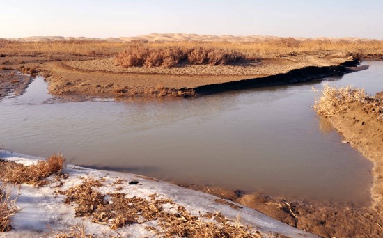 The Ruoqiang River runs through the endless deserts of Lop Nur. [Xinhua]